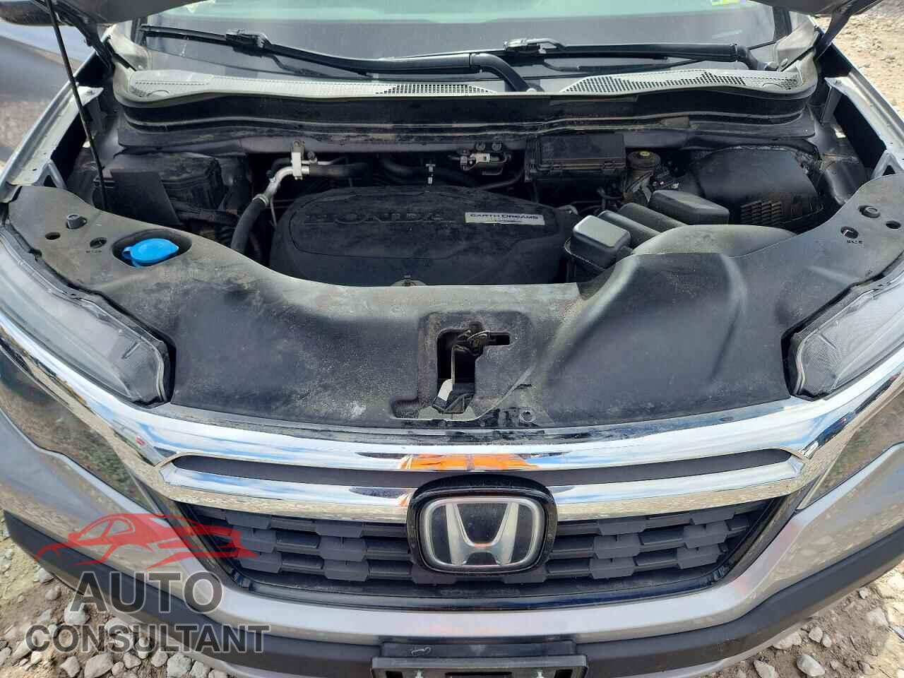 HONDA RIDGELINE 2019 - 5FPYK3F77KB028554