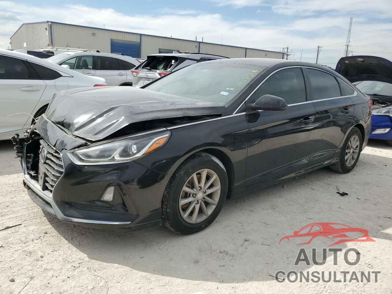 HYUNDAI SONATA 2019 - 5NPE24AF8KH782094
