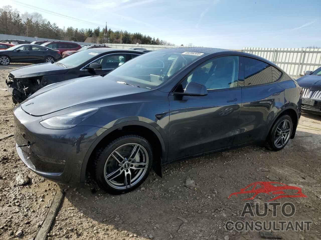 TESLA MODEL Y 2024 - 7SAYGDEE4RA281227