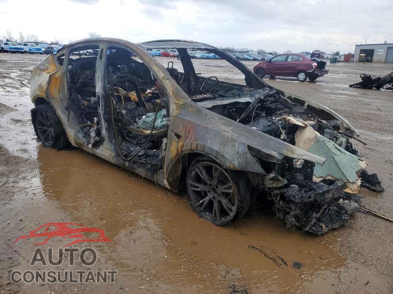 TESLA MODEL Y 2024 - 7SAYGDEE0RF186084