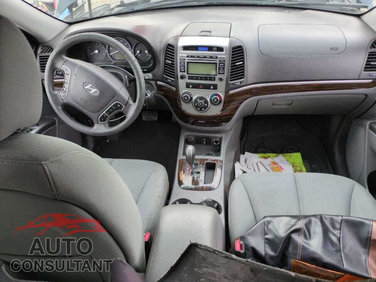 HYUNDAI SANTA FE 2010 - 5NMSGDAB4AH408112
