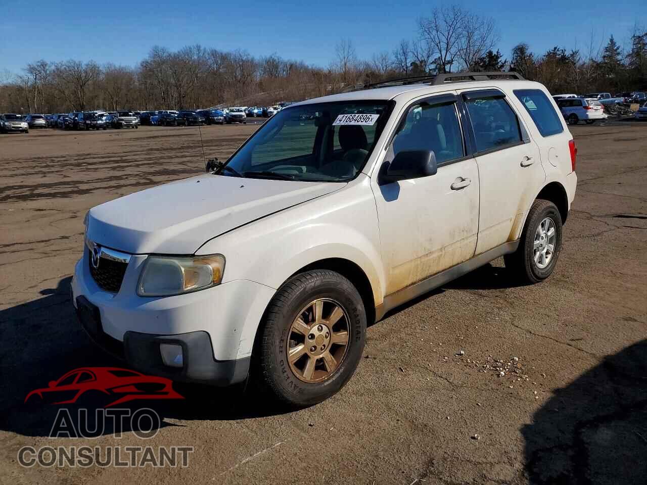 MAZDA TRIBUTE 2010 - 4F2CY0C74AKM05525