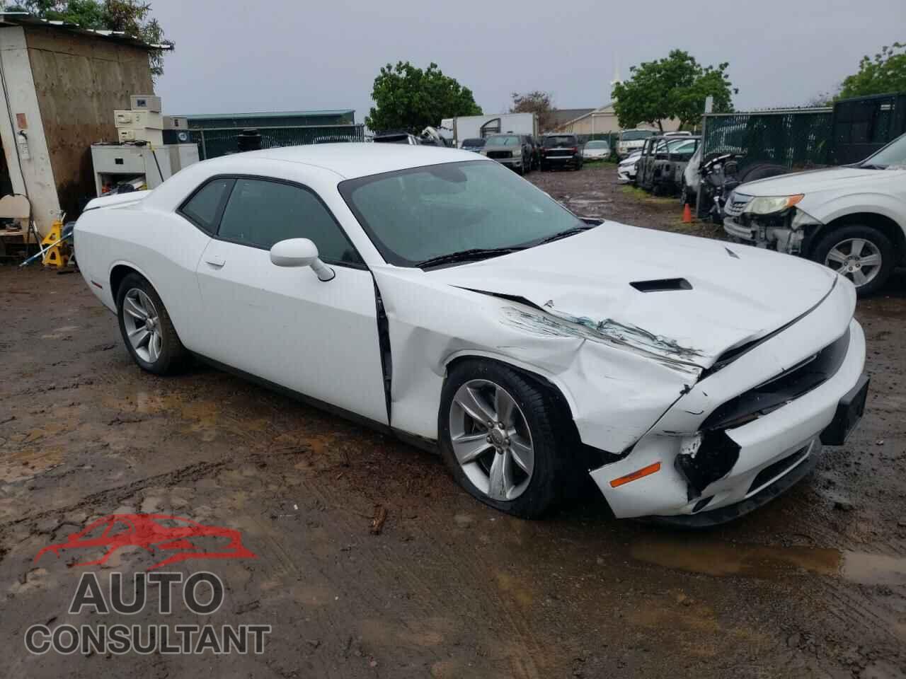 DODGE CHALLENGER 2019 - 2C3CDZAGXKH687458