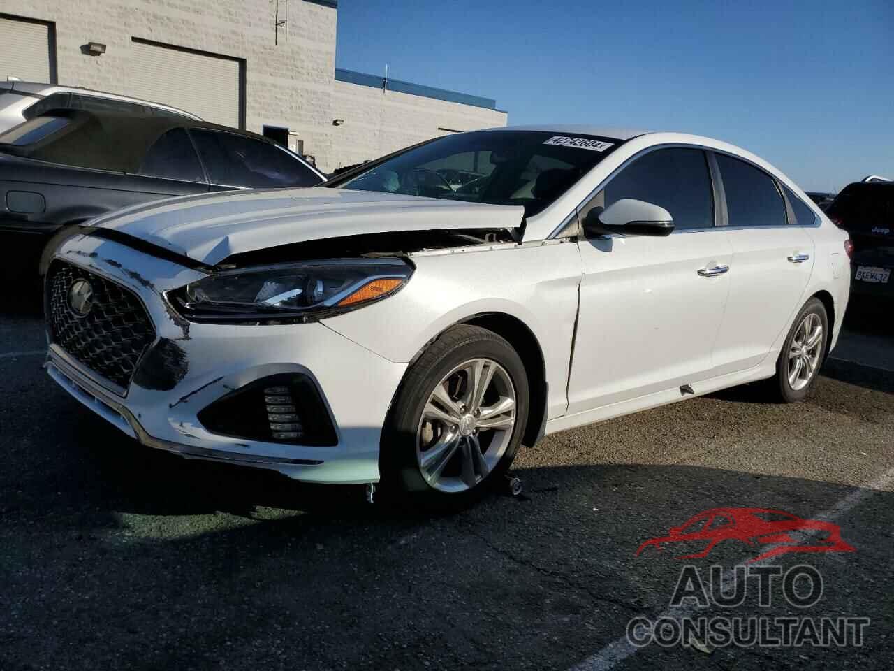 HYUNDAI SONATA 2019 - 5NPE34AF6KH736454