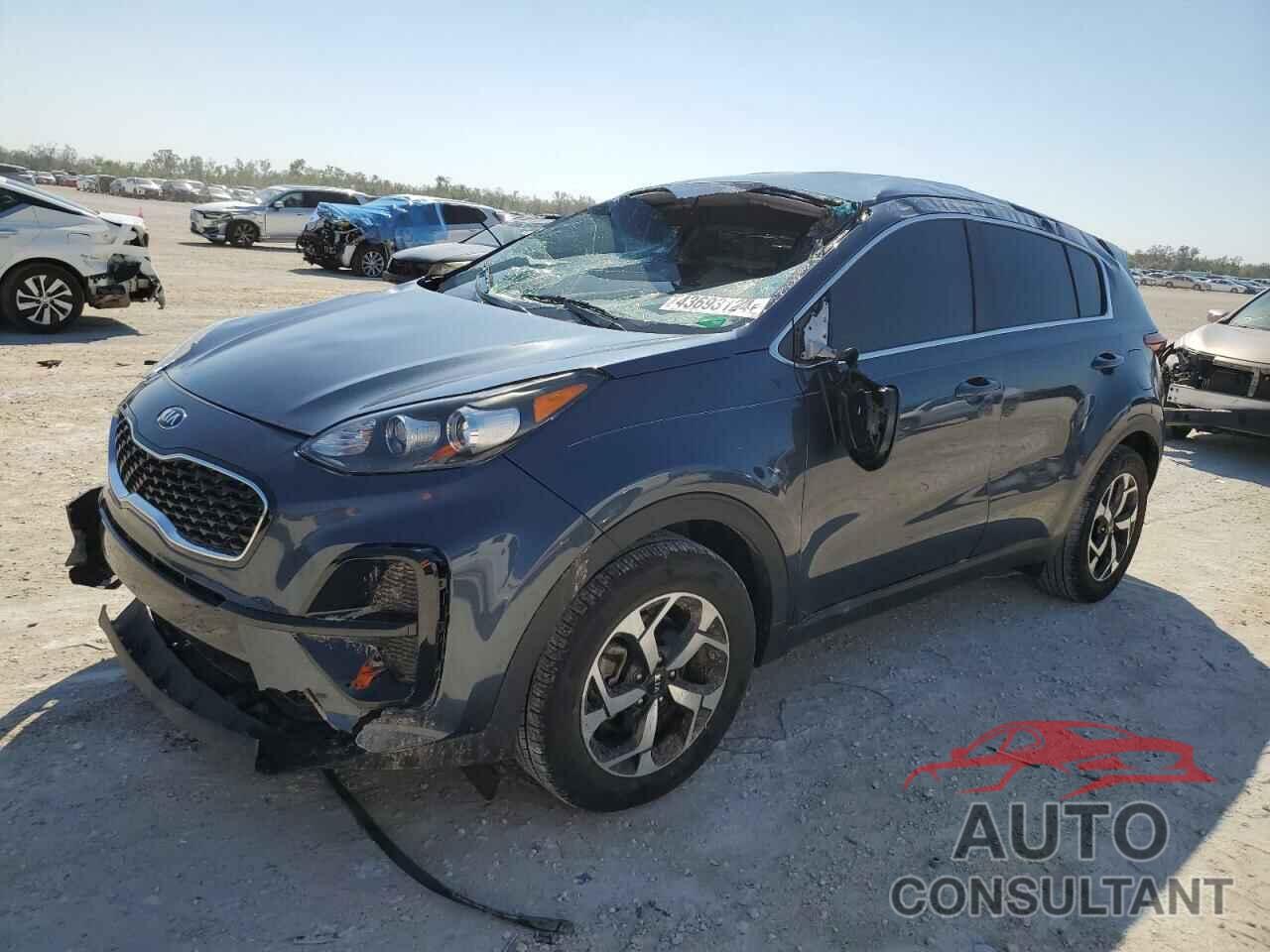 KIA SPORTAGE 2022 - KNDPM3AC3N7012591