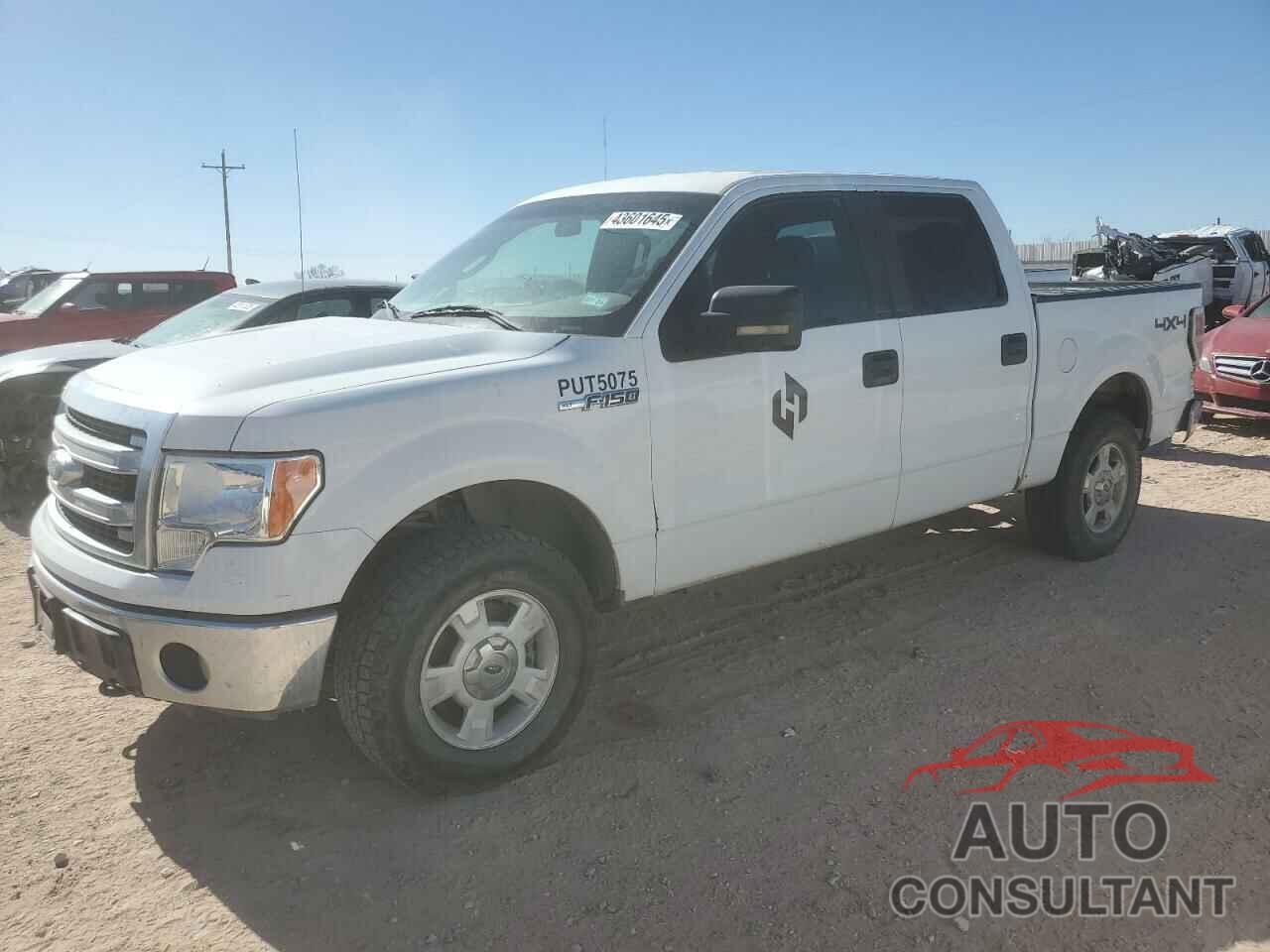 FORD F-150 2013 - 1FTFW1EF2DKF81216