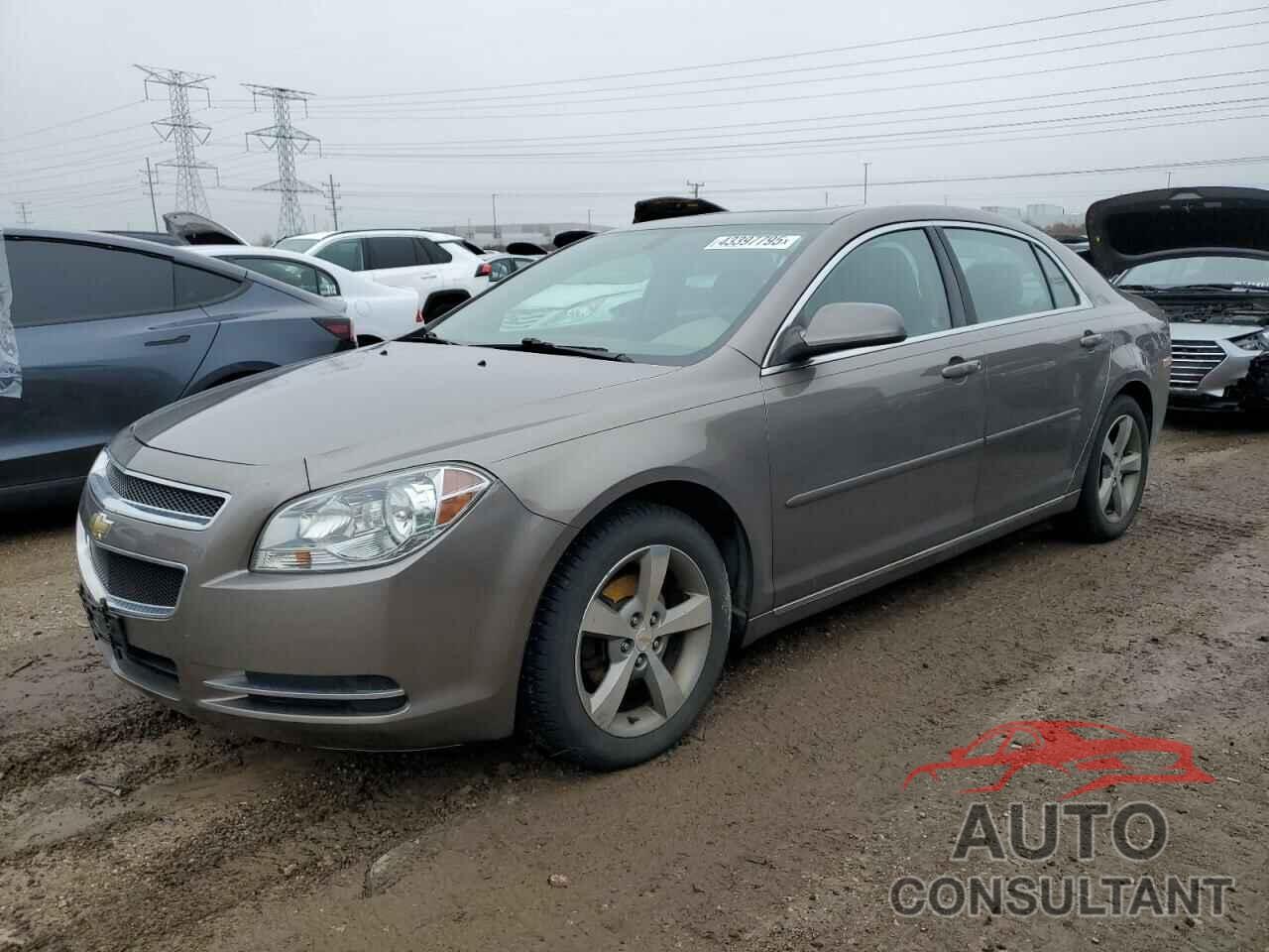 CHEVROLET MALIBU 2011 - 1G1ZC5E16BF257654