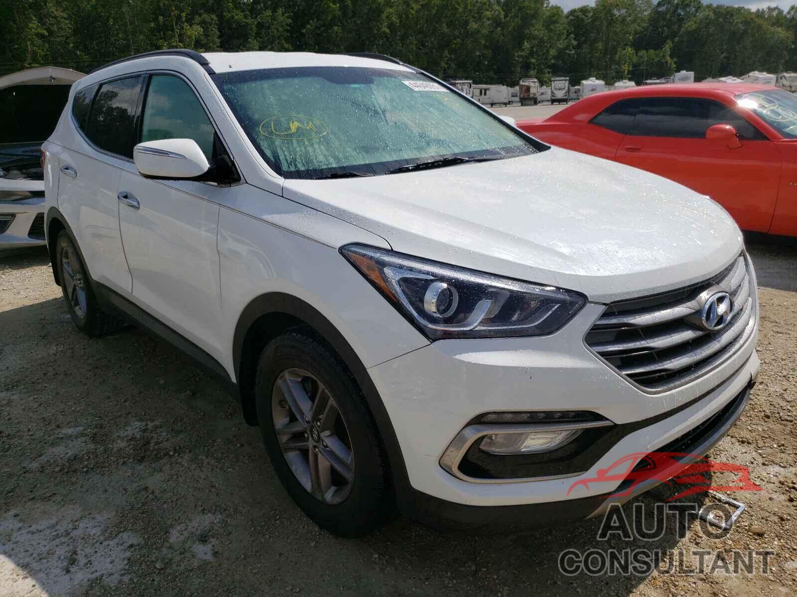 HYUNDAI SANTA FE 2017 - 5NMZU3LBXHH005700