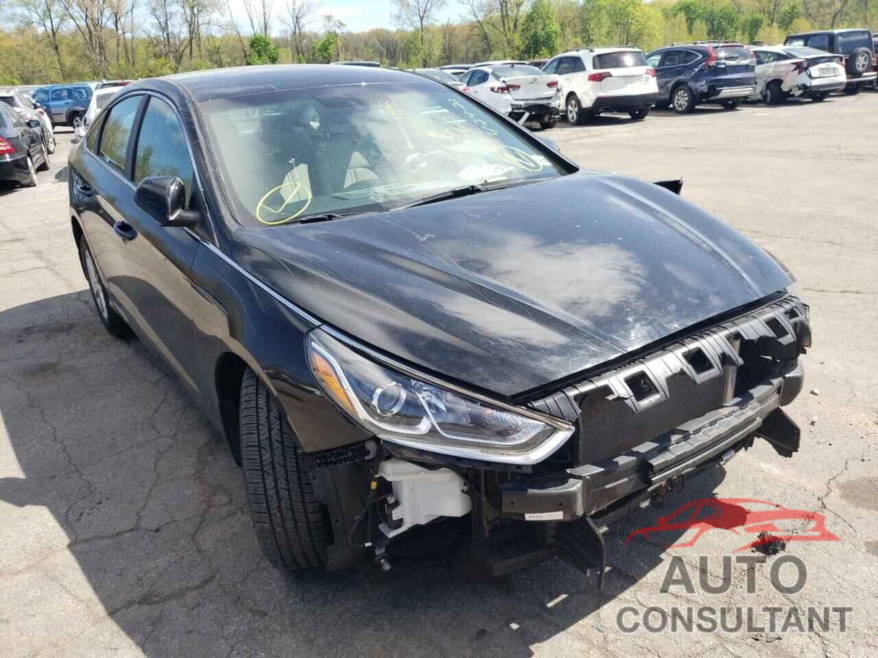 HYUNDAI SONATA 2019 - 5NPE24AF2KH733120
