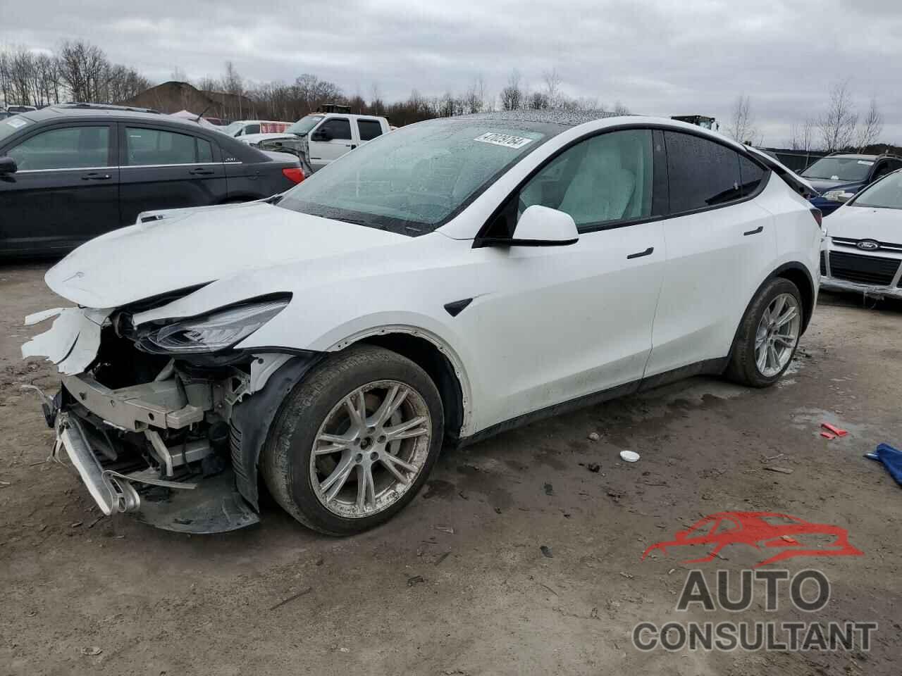 TESLA MODEL Y 2021 - 5YJYGDEE8MF081301