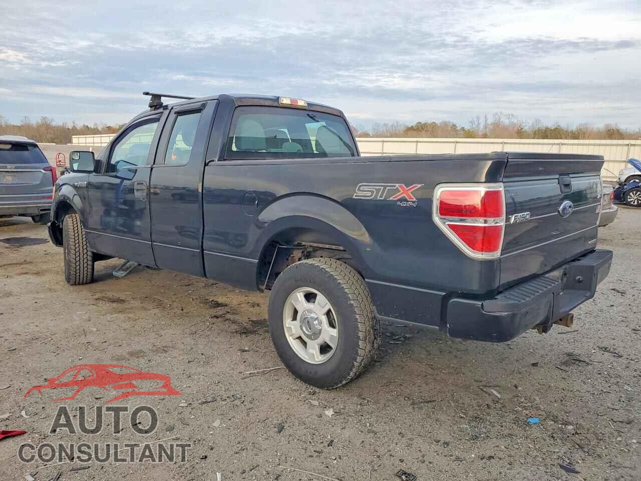 FORD F150 2014 - 1FTFX1EF3EFC86844