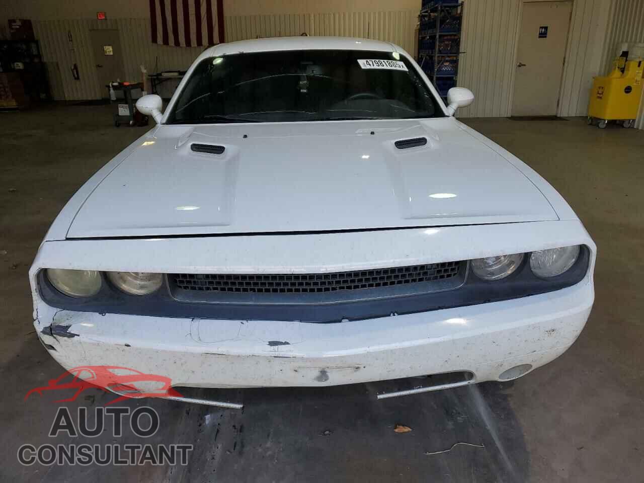 DODGE CHALLENGER 2013 - 2C3CDYAGXDH695654
