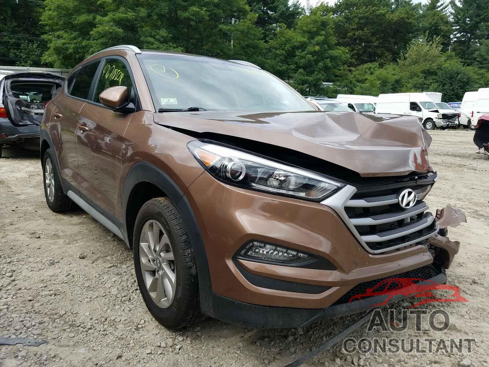 HYUNDAI TUCSON 2017 - KM8J3CA44HU497391