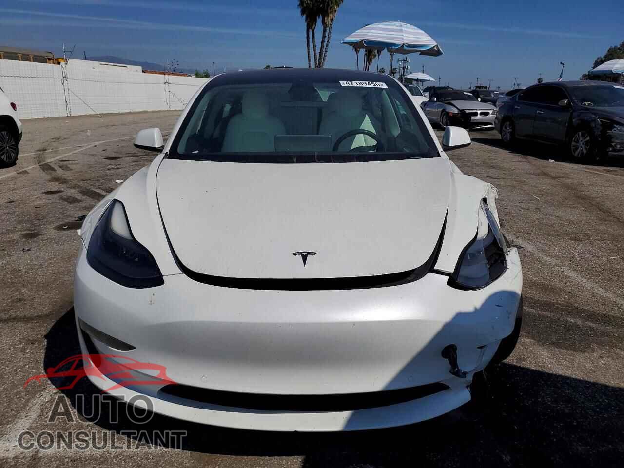 TESLA MODEL 3 2021 - 5YJ3E1EB9MF067542
