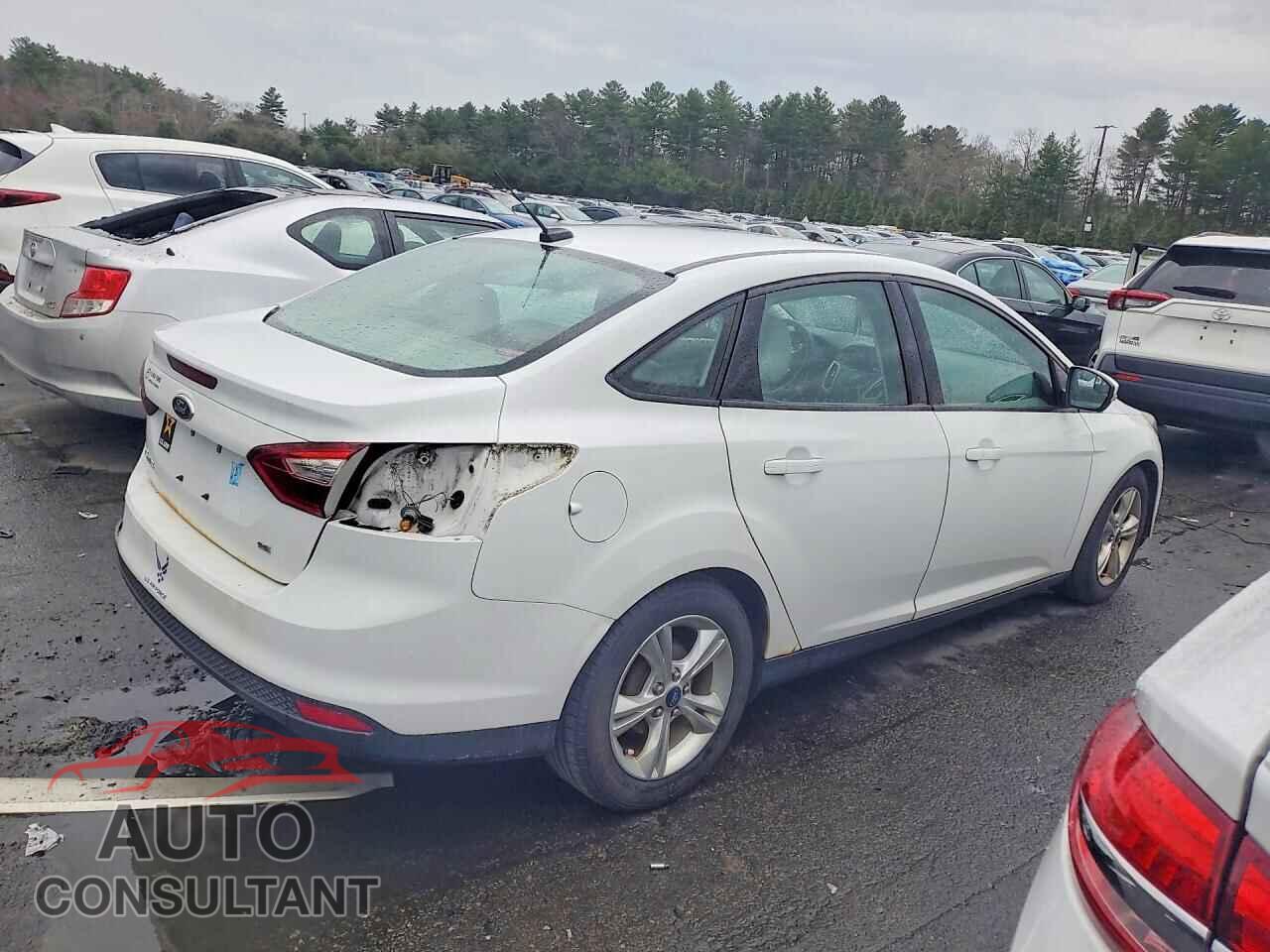 FORD FOCUS 2014 - 1FADP3F28EL338183