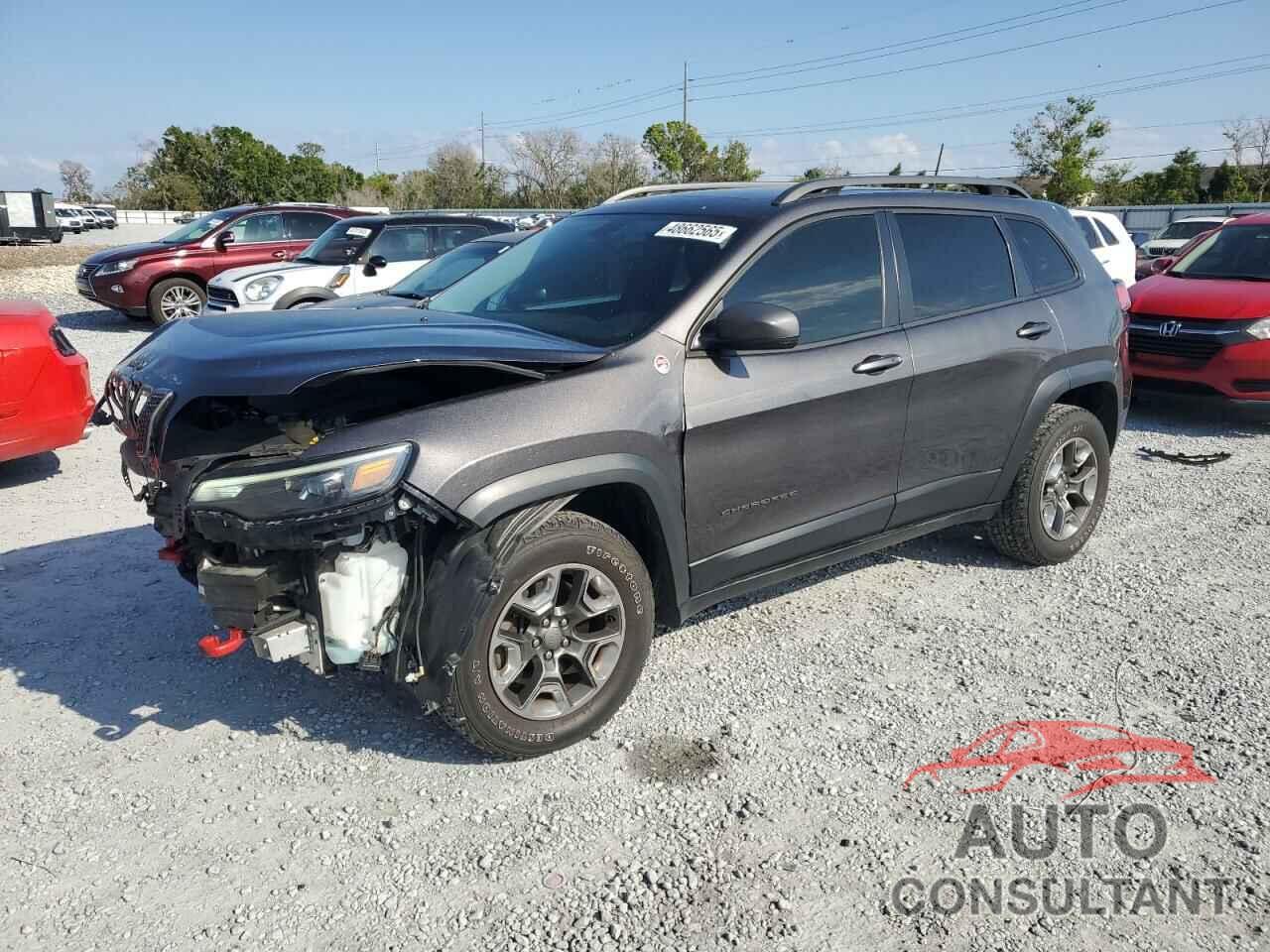 JEEP CHEROKEE 2019 - 1C4PJMBX9KD183343