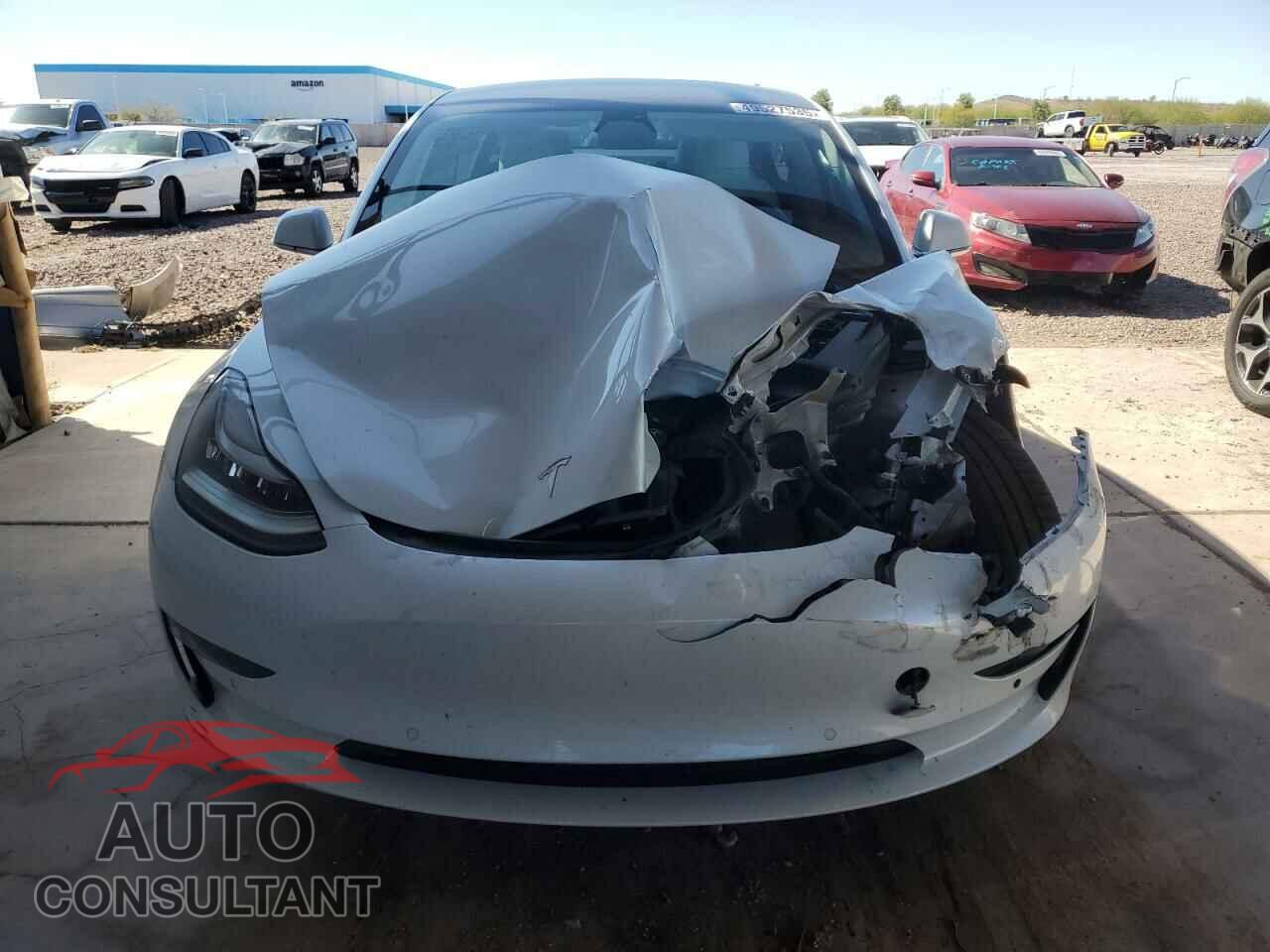 TESLA MODEL 3 2019 - 5YJ3E1EB3KF513035