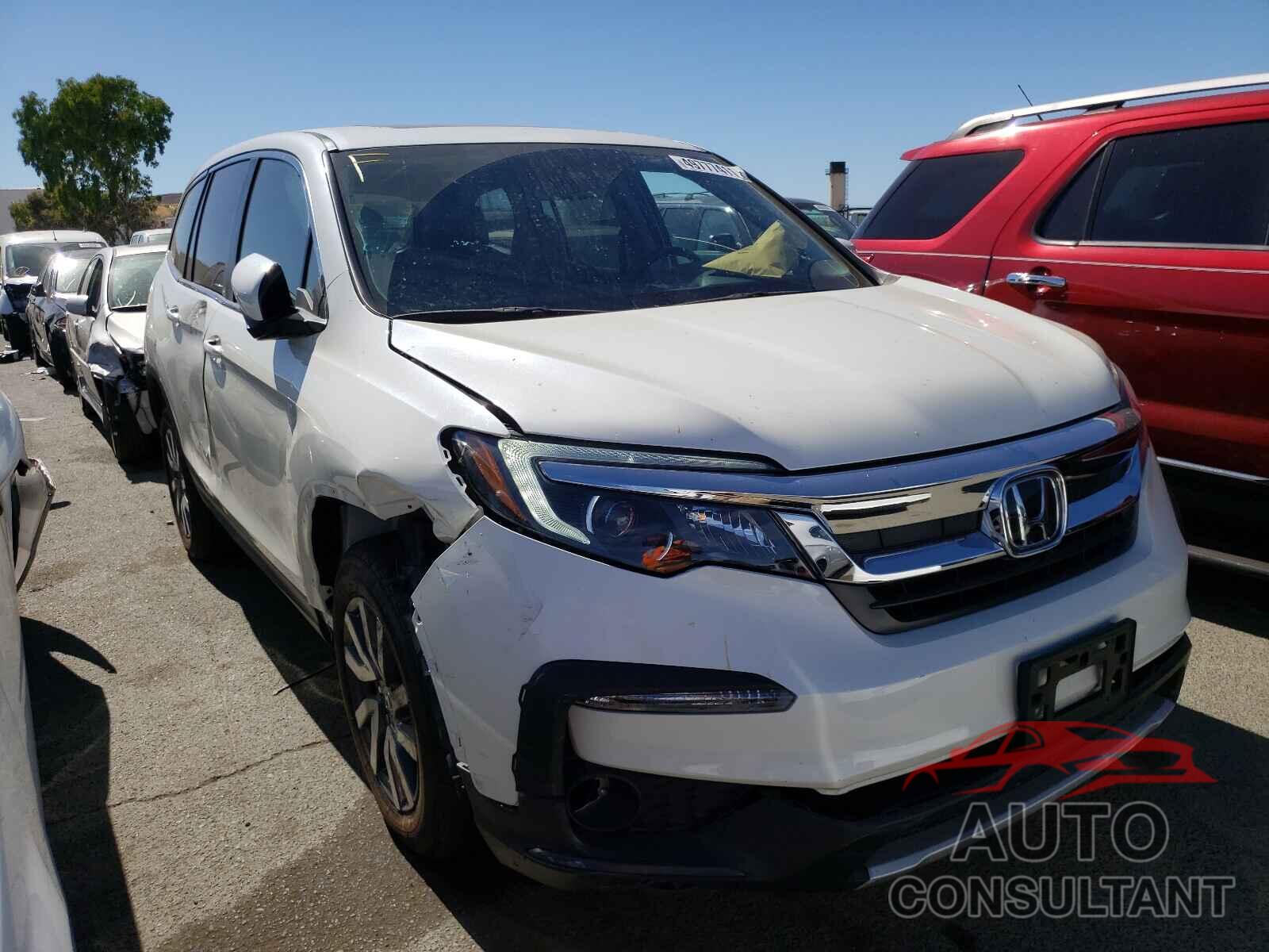 HONDA PILOT 2019 - 5FNYF6H57KB084326