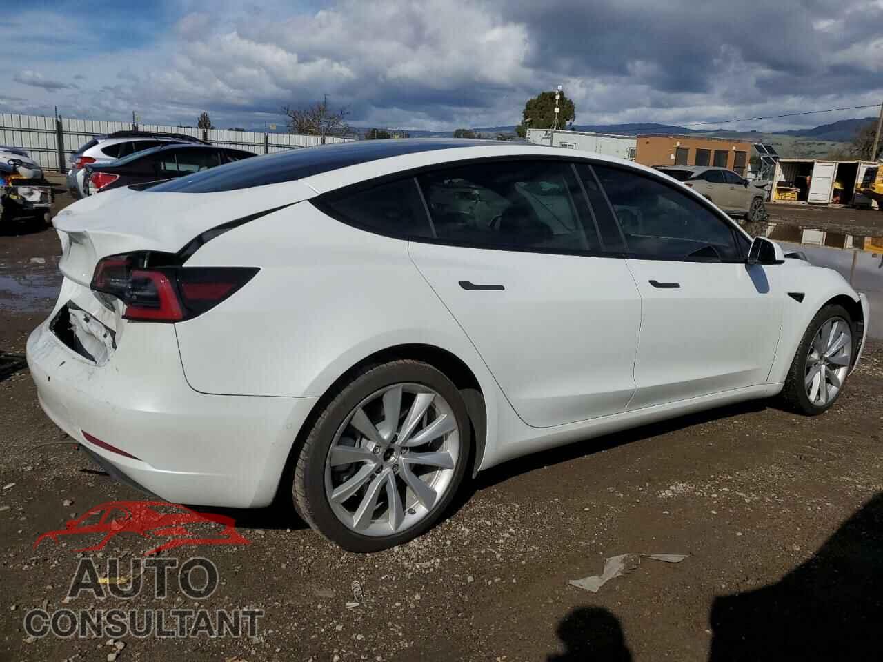 TESLA MODEL 3 2022 - 5YJ3E1EA1NF202859