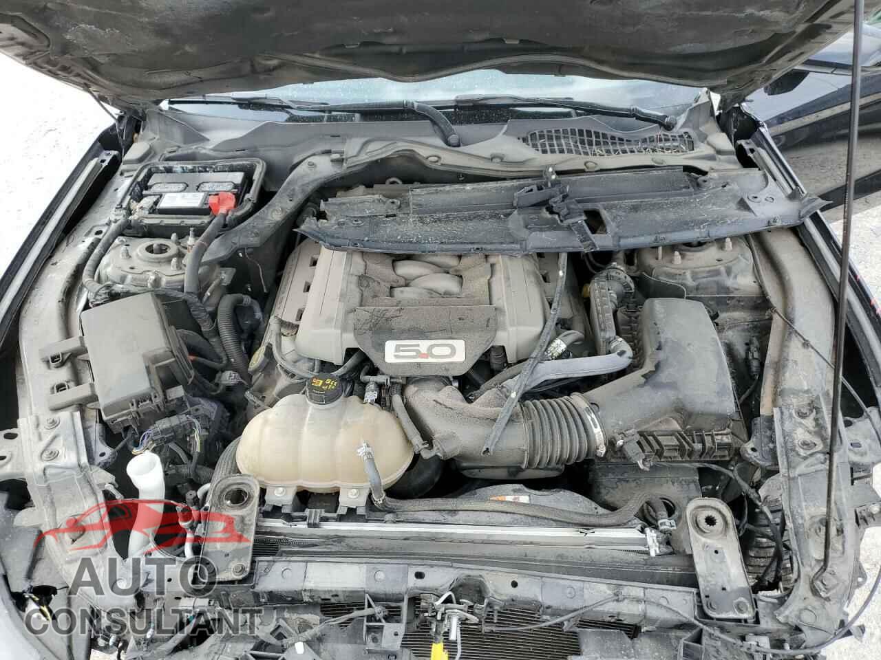 FORD MUSTANG 2017 - 1FA6P8CF5H5344772