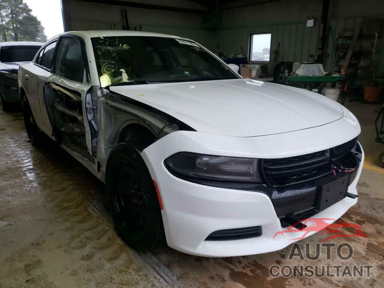 DODGE CHARGER 2019 - 2C3CDXAT3KH558463