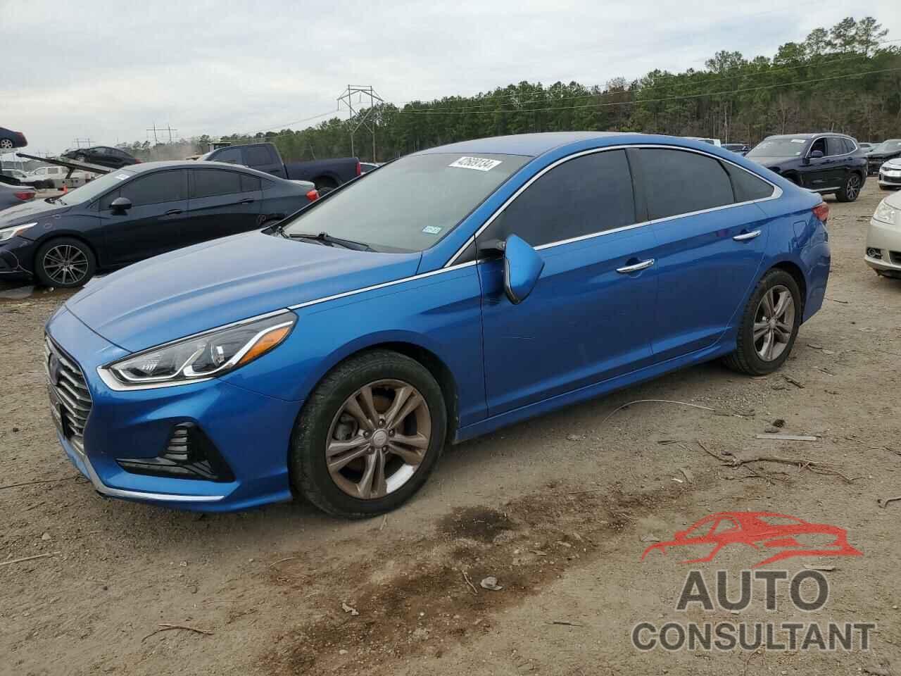 HYUNDAI SONATA 2018 - 5NPE34AF3JH604024