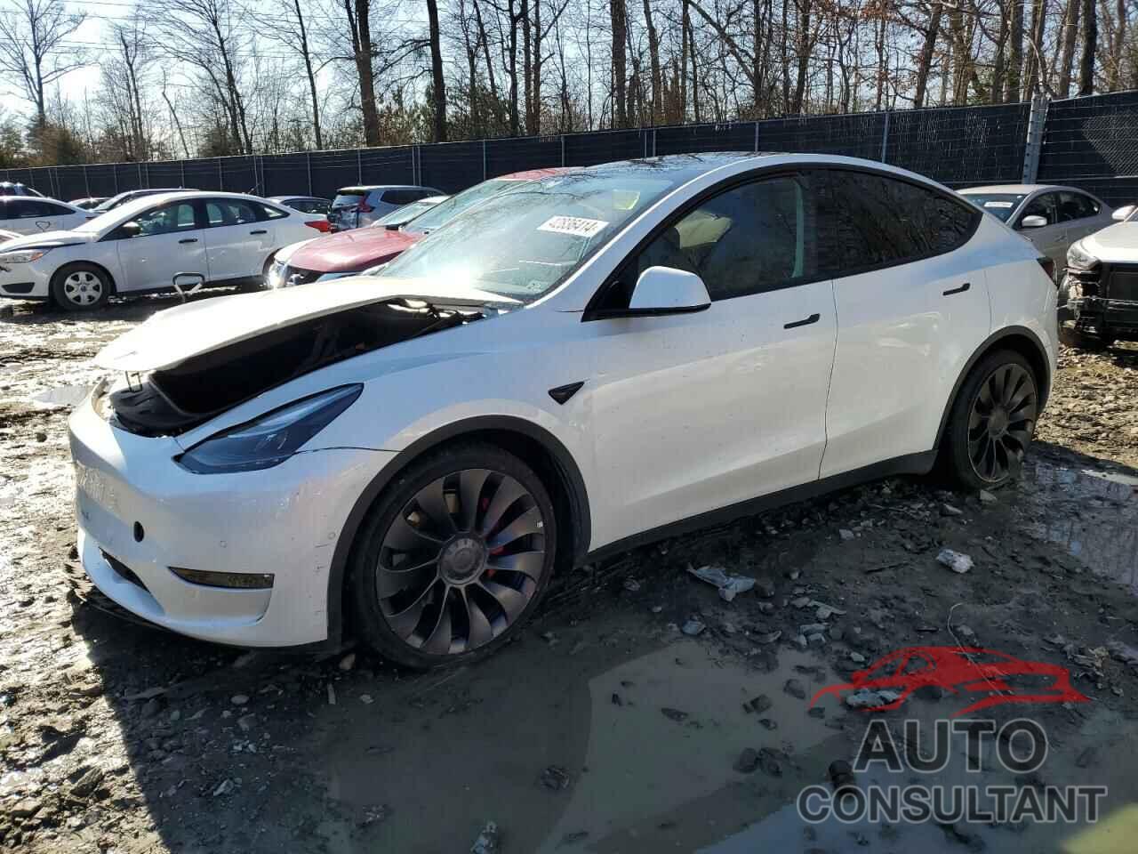 TESLA MODEL Y 2022 - 7SAYGDEF6NF379150