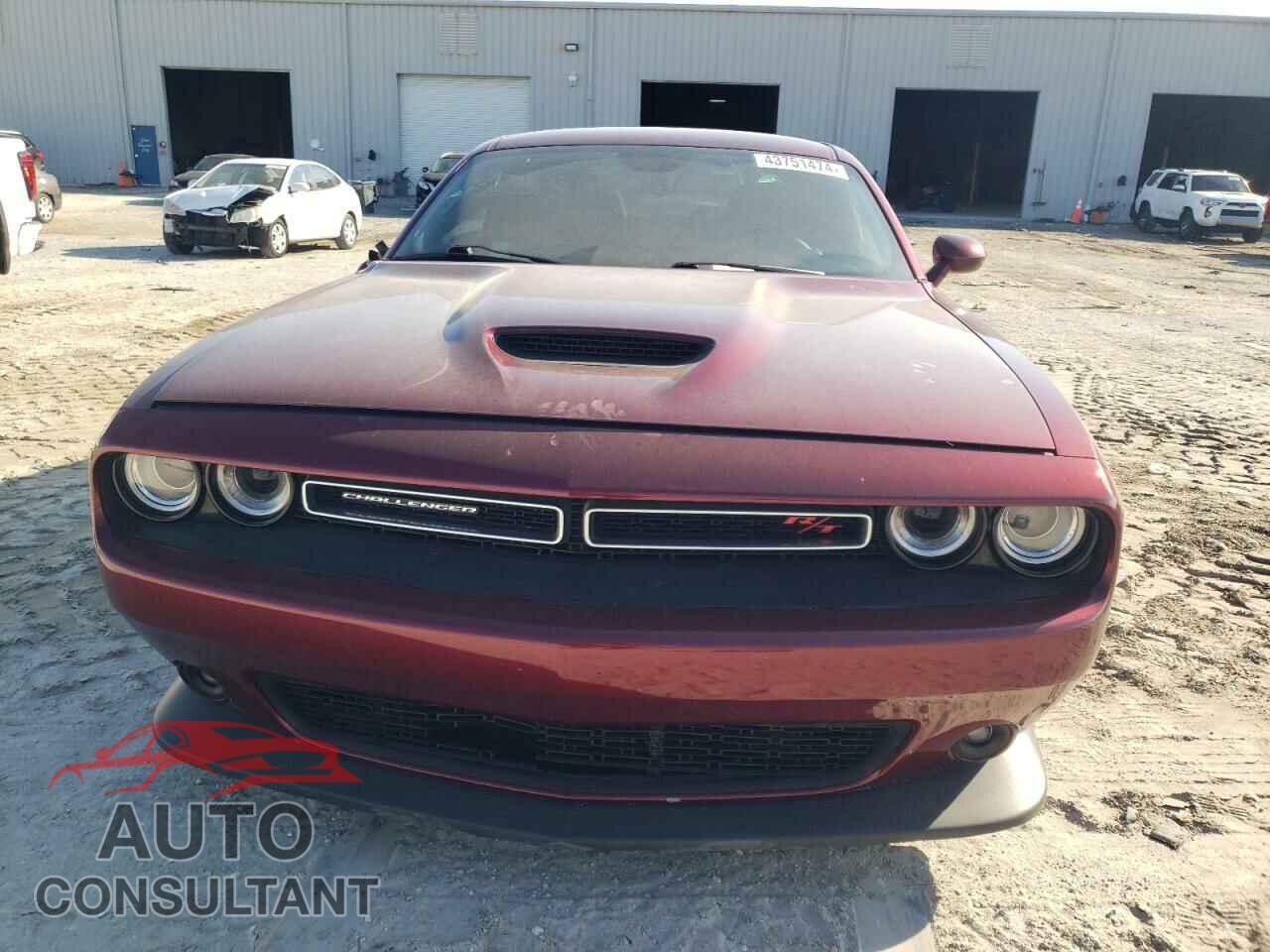 DODGE CHALLENGER 2019 - 2C3CDZBT3KH531550