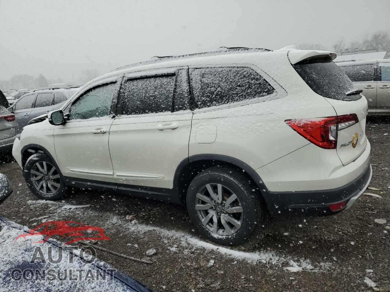 HONDA PILOT 2019 - 5FNYF6H50KB034335