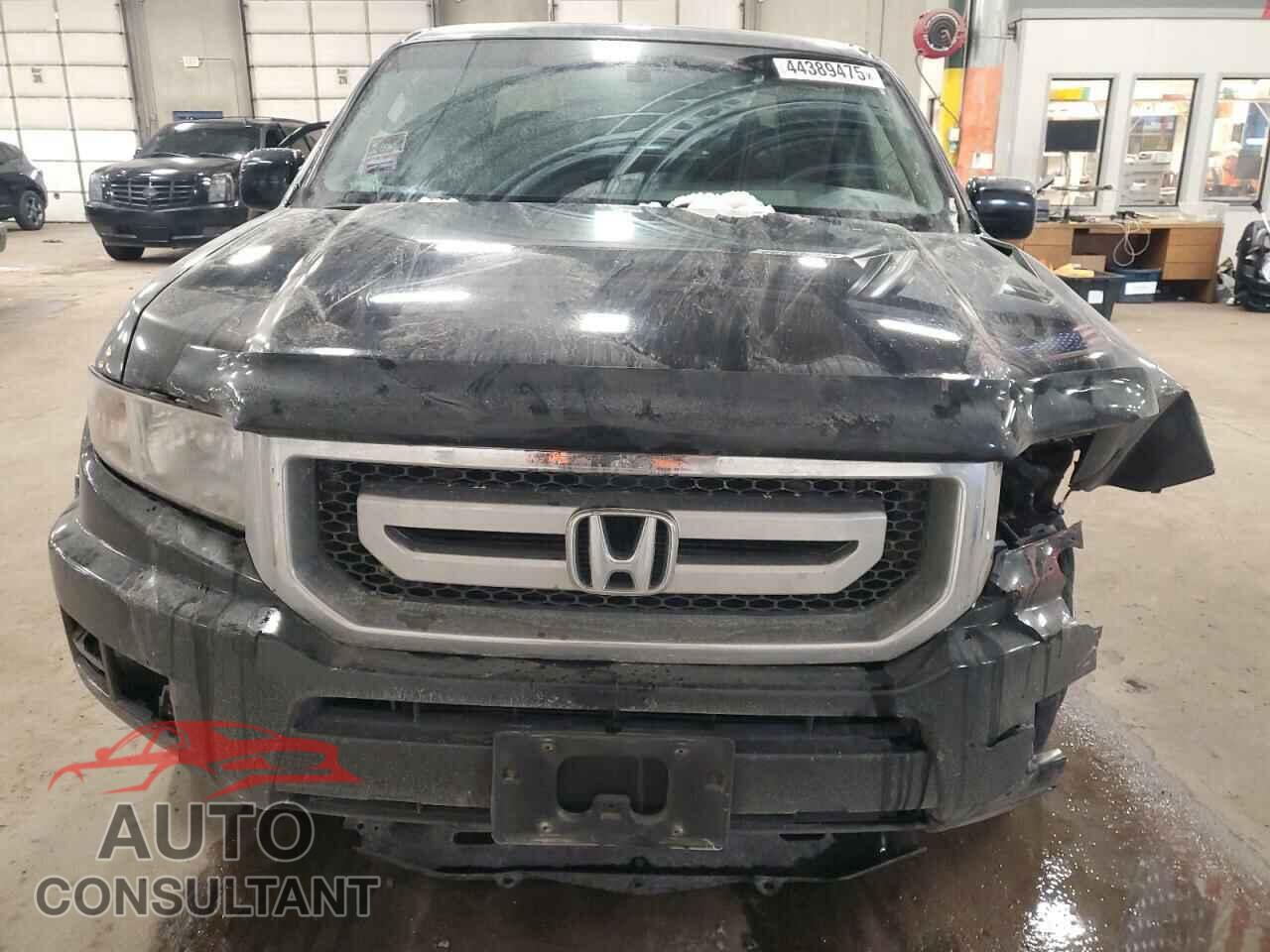 HONDA RIDGELINE 2011 - 5FPYK1F52BB006142