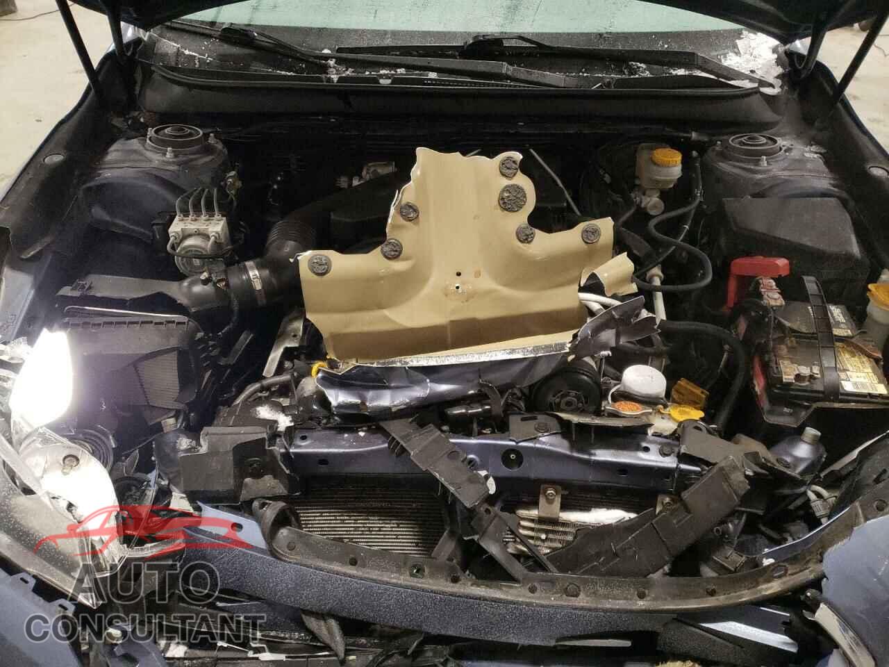 SUBARU OUTBACK 2016 - 4S4BSBCCXG3359199