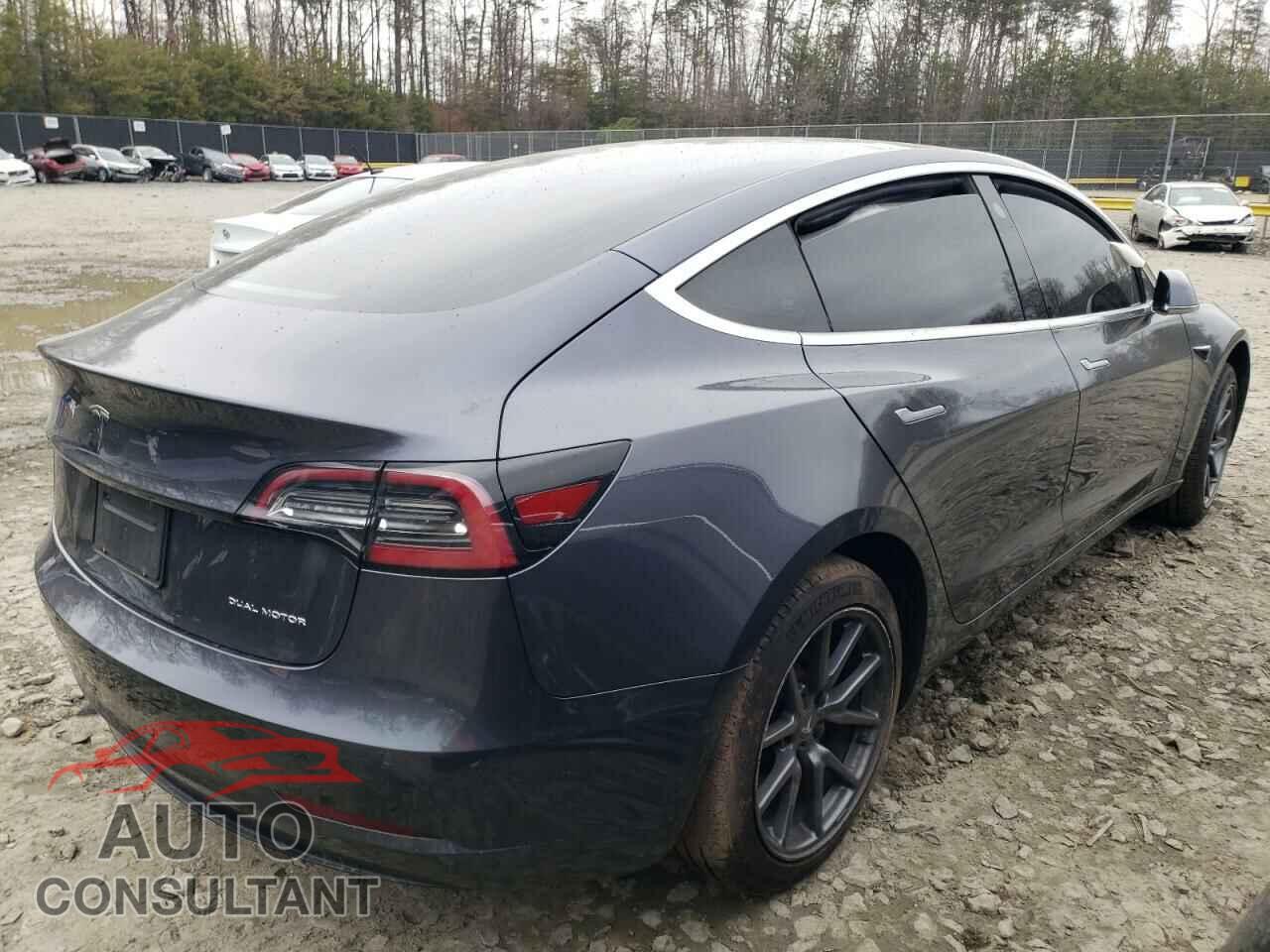 TESLA MODEL 3 2019 - 5YJ3E1EB3KF442001