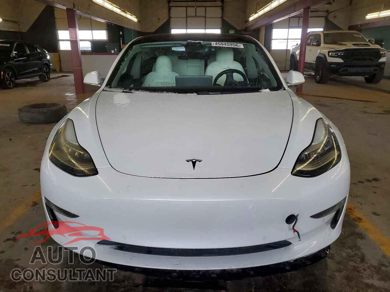 TESLA MODEL 3 2019 - 5YJ3E1EA6KF302757