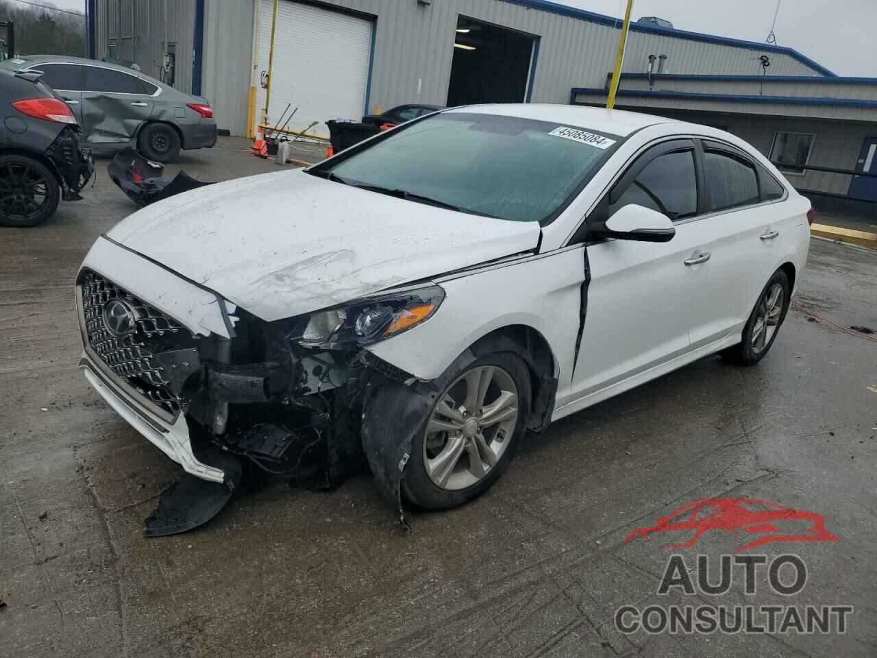 HYUNDAI SONATA 2019 - 5NPE34AF5KH770966