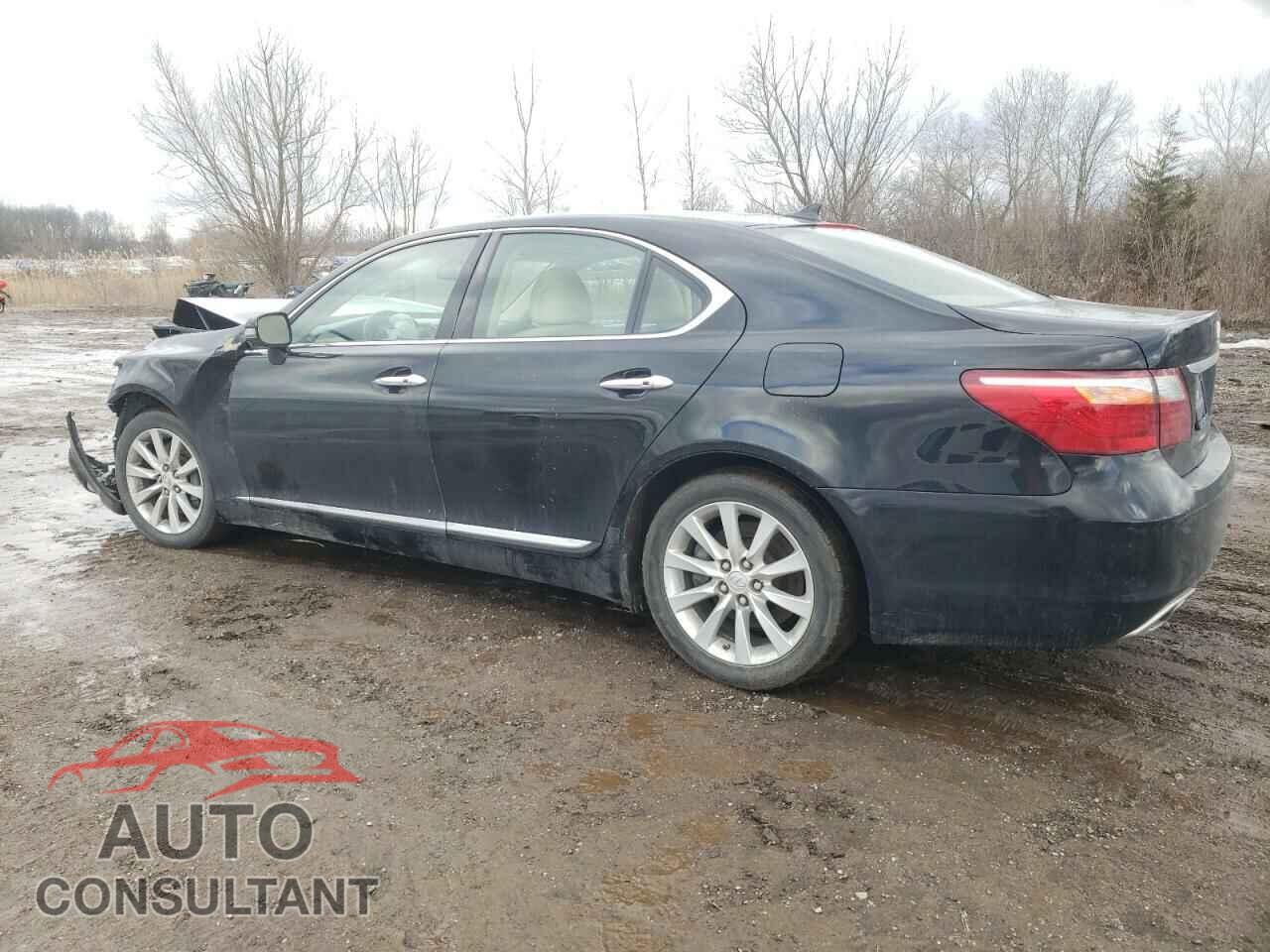 LEXUS LS460 2011 - JTHCL5EFXB5010117
