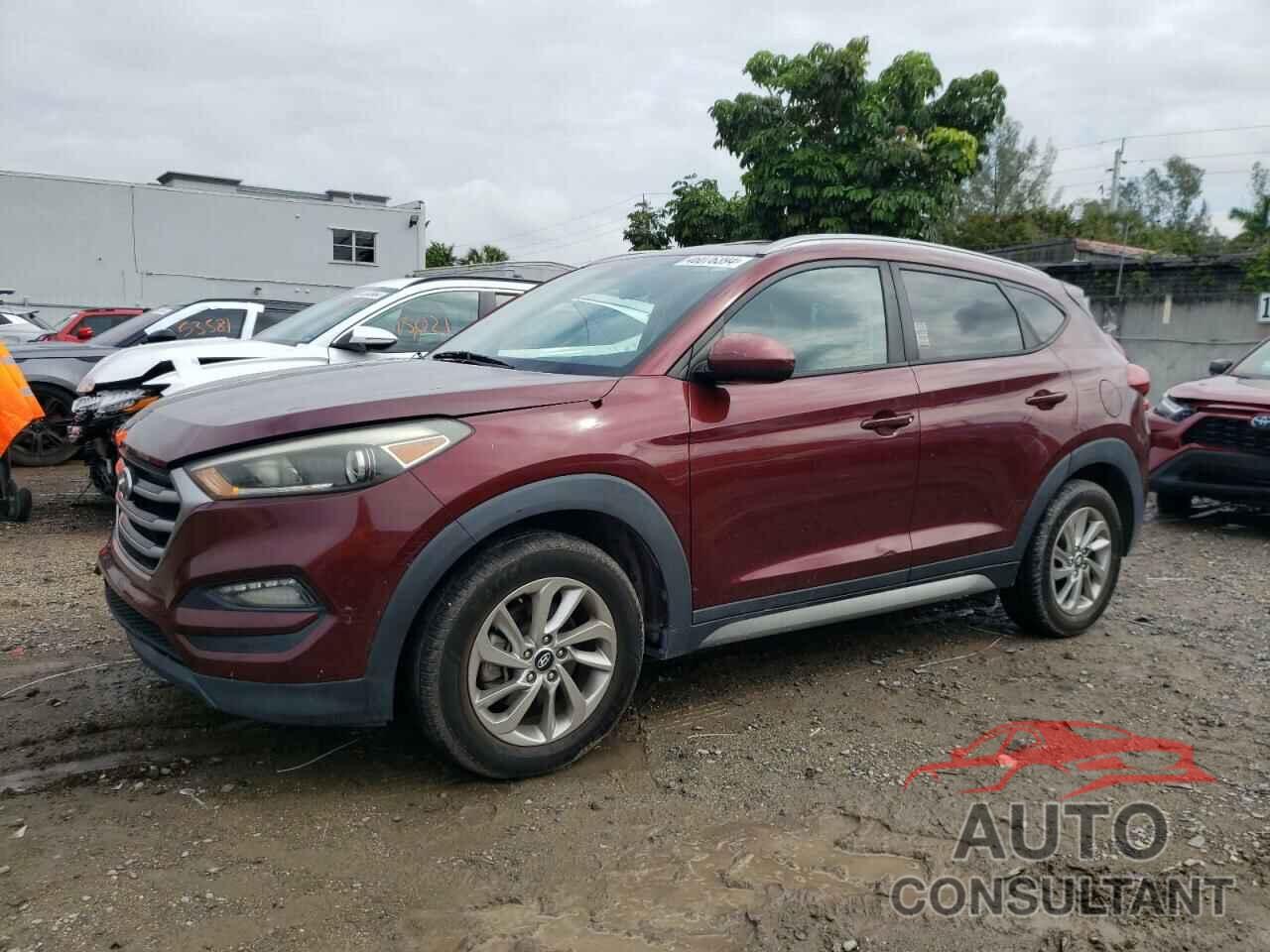 HYUNDAI TUCSON 2017 - KM8J33A45HU259422