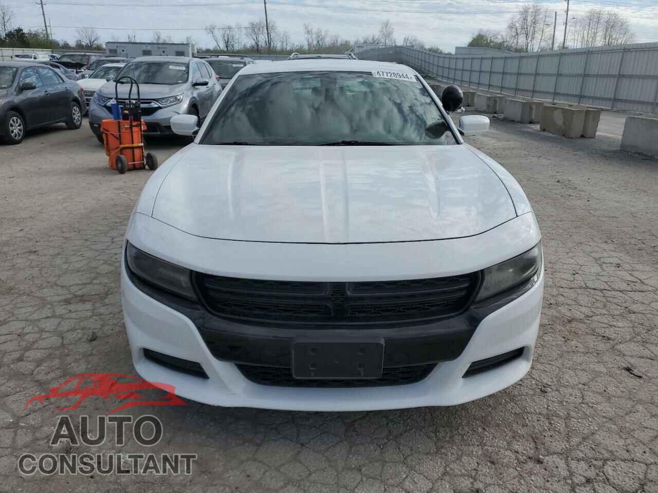 DODGE CHARGER 2019 - 2C3CDXKT8KH511315