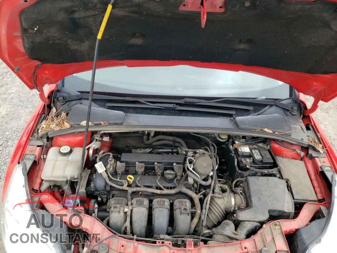 FORD FOCUS 2012 - 1FAHP3K26CL468581