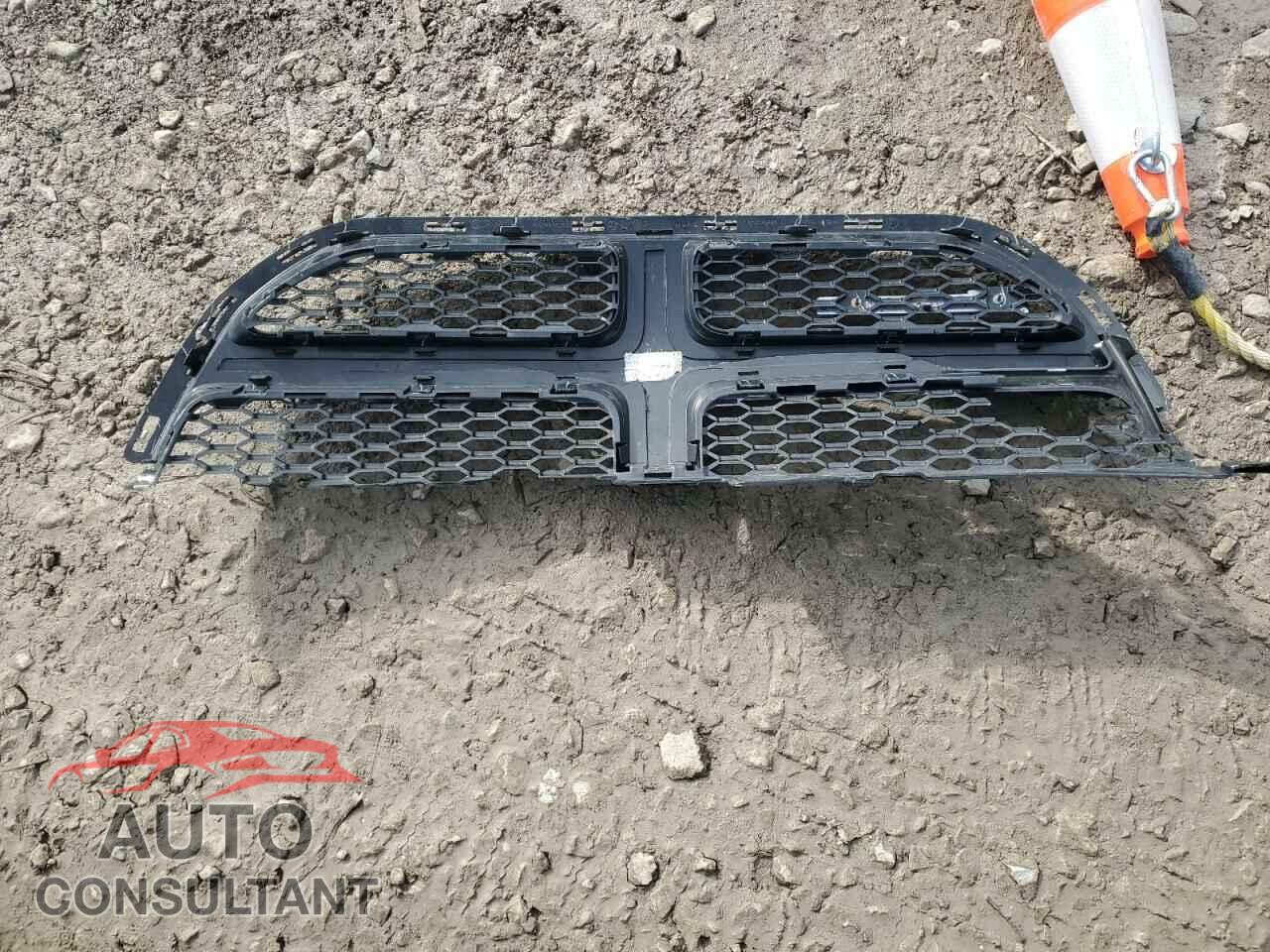 DODGE CARAVAN 2019 - 2C4RDGEG1KR744029