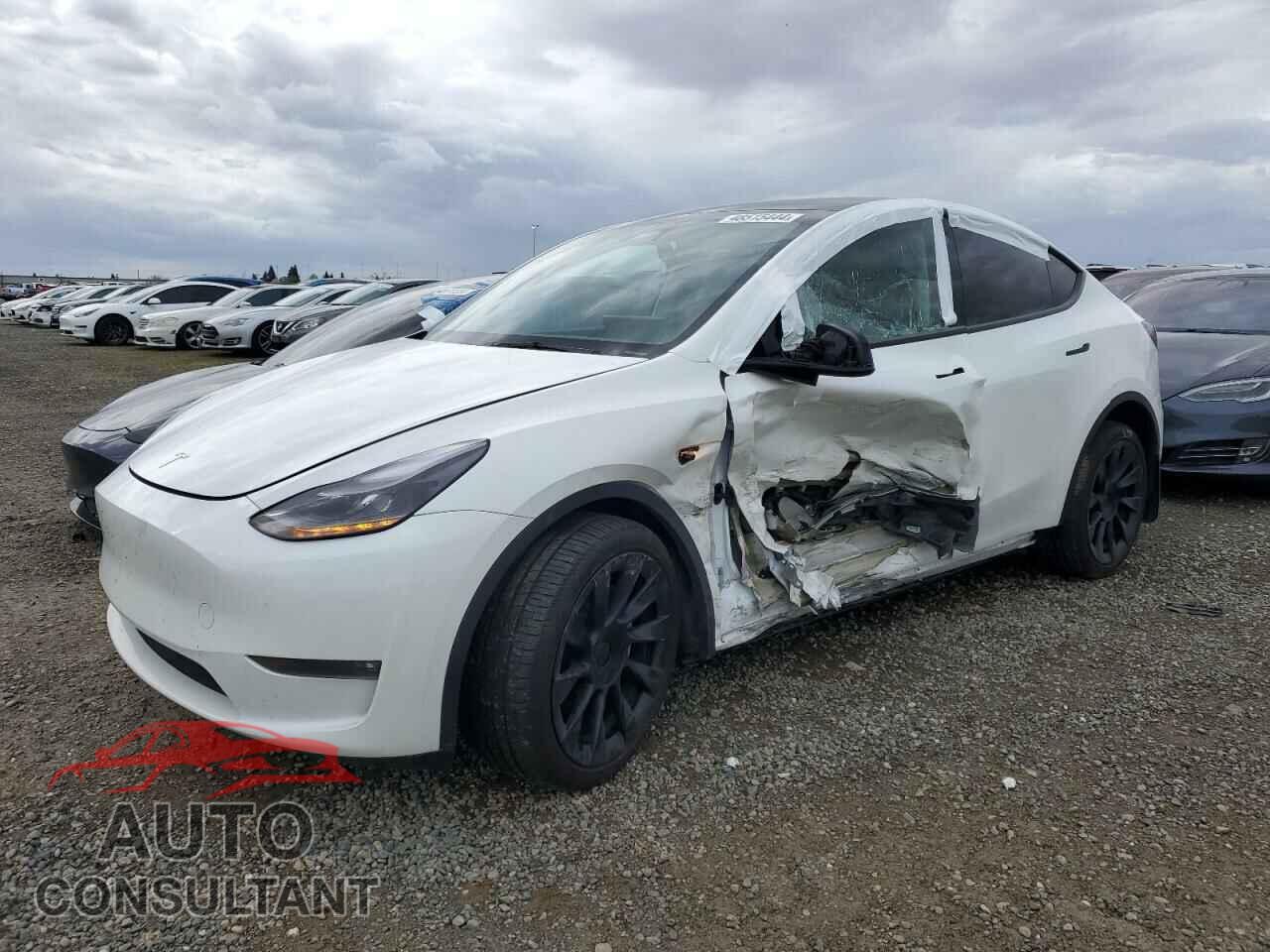 TESLA MODEL Y 2023 - 7SAYGDEEXPF676514