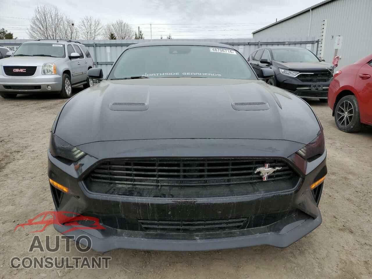 FORD MUSTANG 2019 - 1FA6P8CF9K5155100