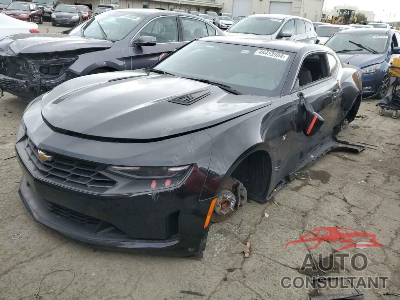 CHEVROLET CAMARO 2019 - 1G1FB1RX1K0131315