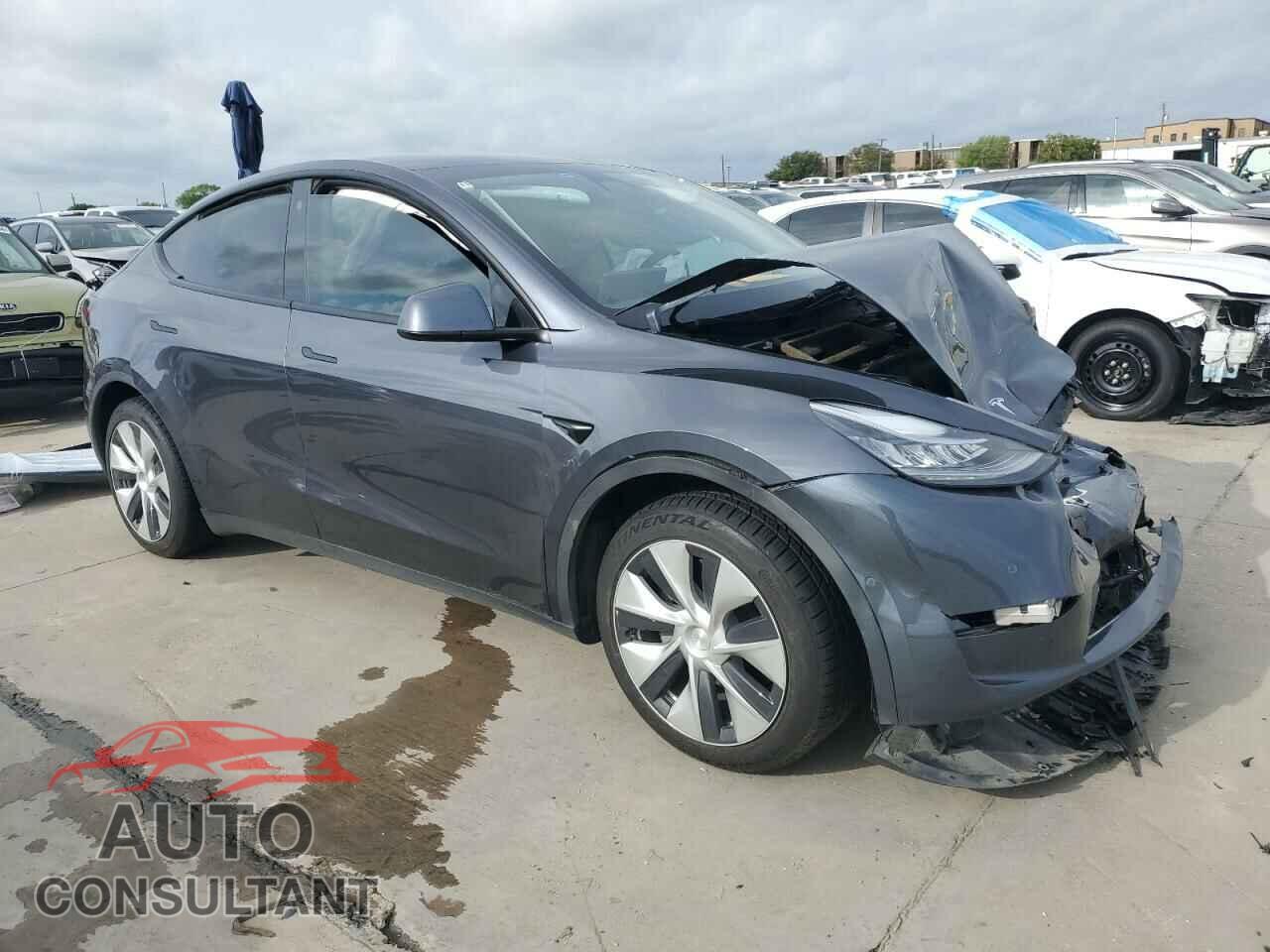 TESLA MODEL Y 2021 - 5YJYGDEEXMF196496