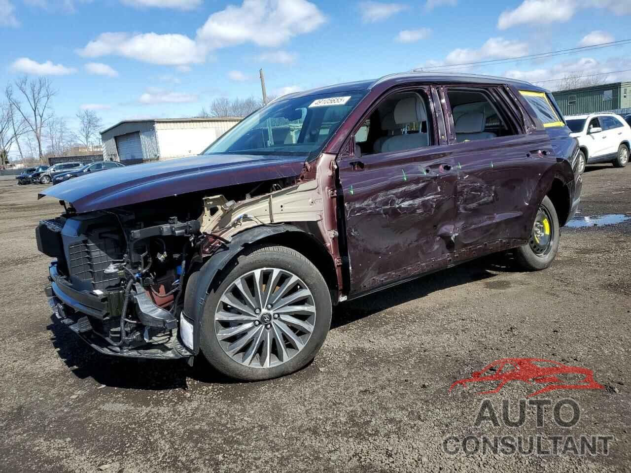 HYUNDAI PALISADE 2025 - KM8R7DGE8SU825044