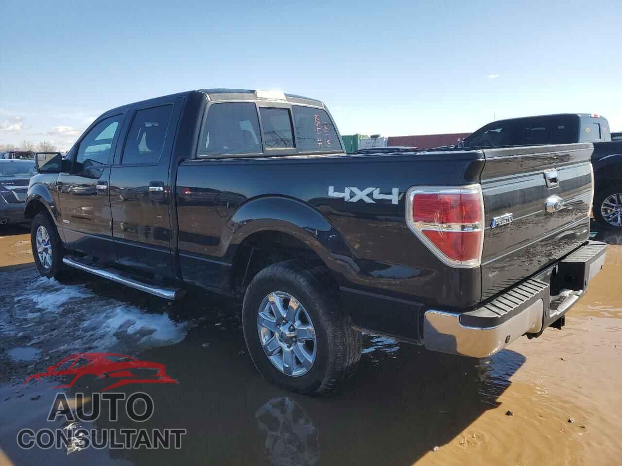 FORD F-150 2013 - 1FTFW1ETXDFD25419