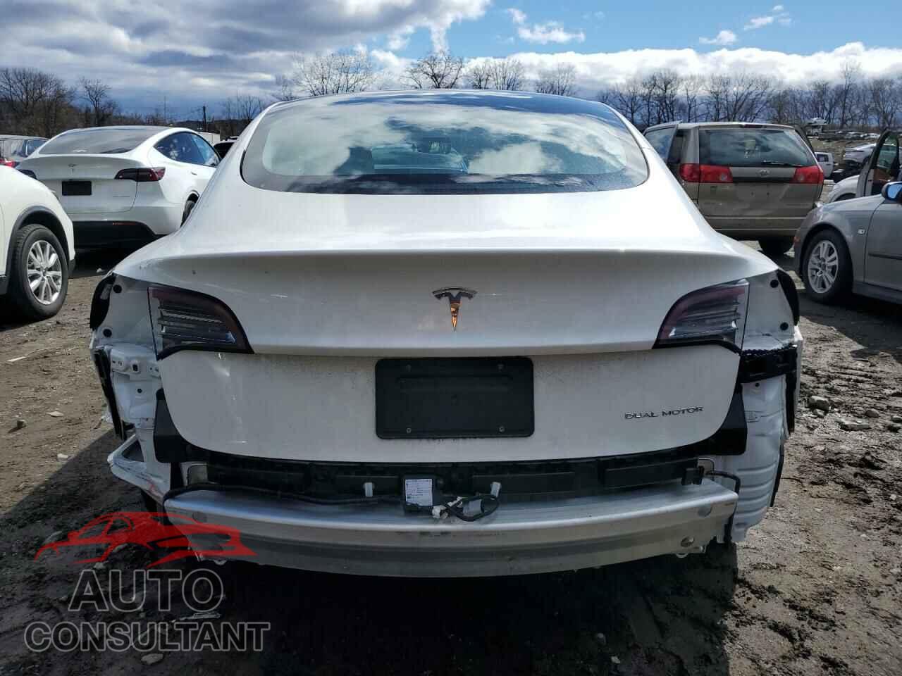 TESLA MODEL 3 2021 - 5YJ3E1EB8MF034225