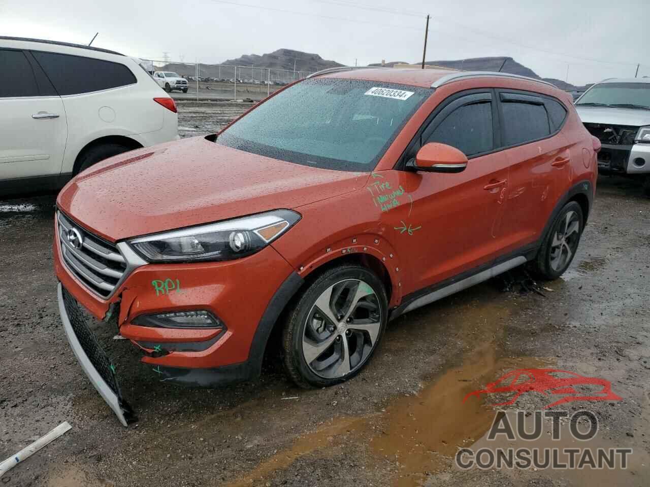 HYUNDAI TUCSON 2017 - KM8J33A20HU495068