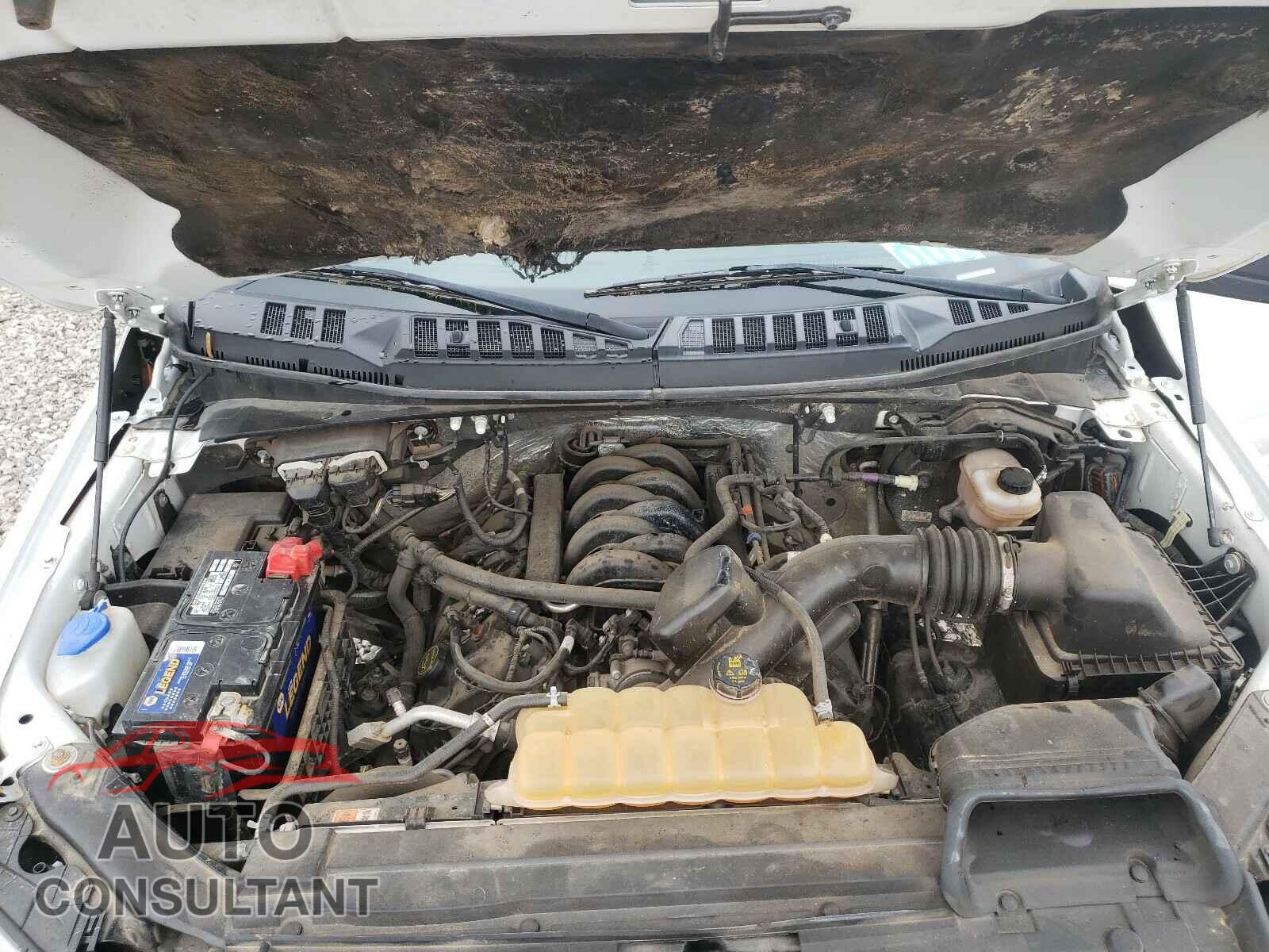 FORD F150 2017 - 1FTMF1EF2HKD40544