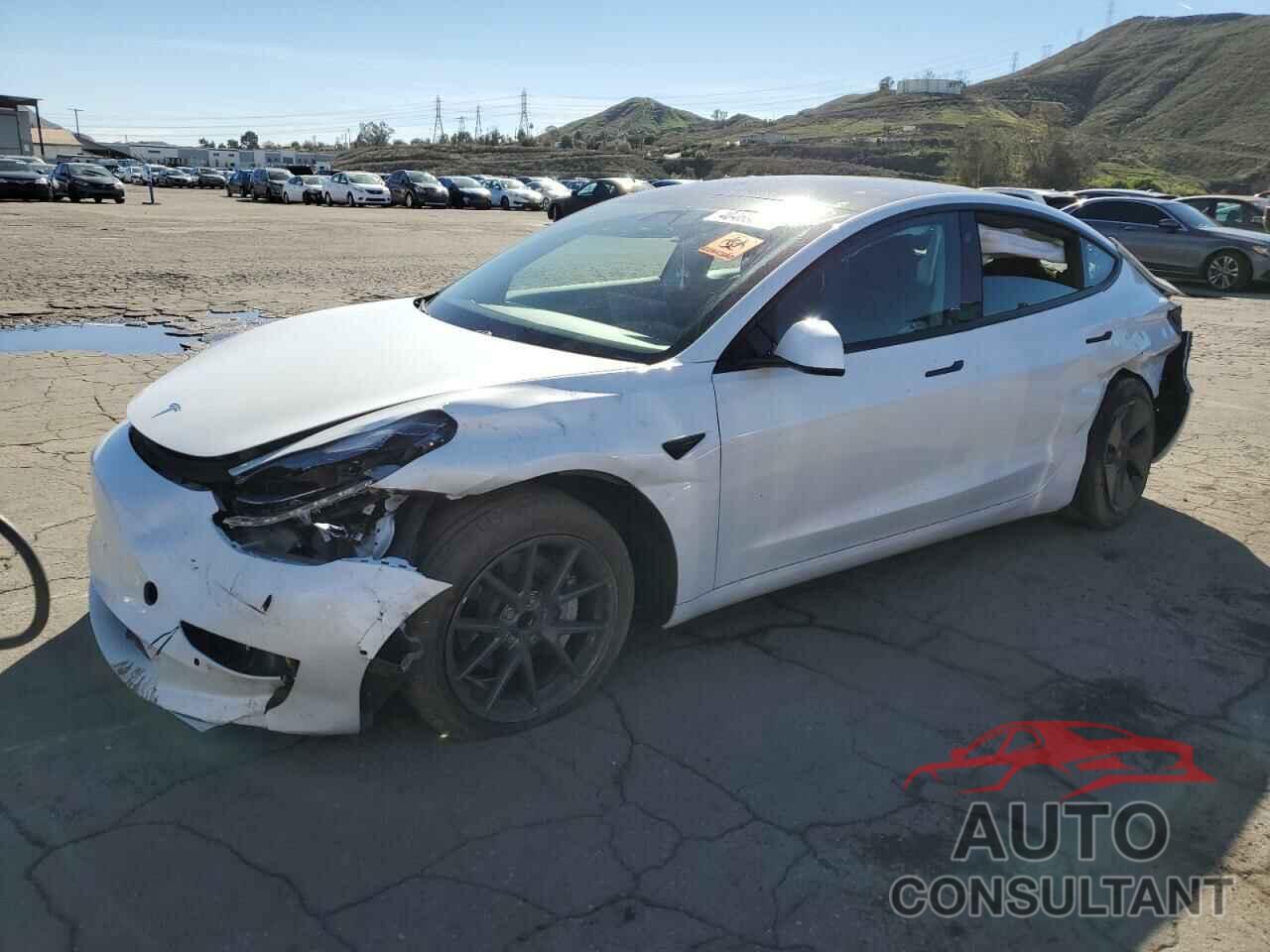 TESLA MODEL 3 2021 - 5YJ3E1EA7MF065845