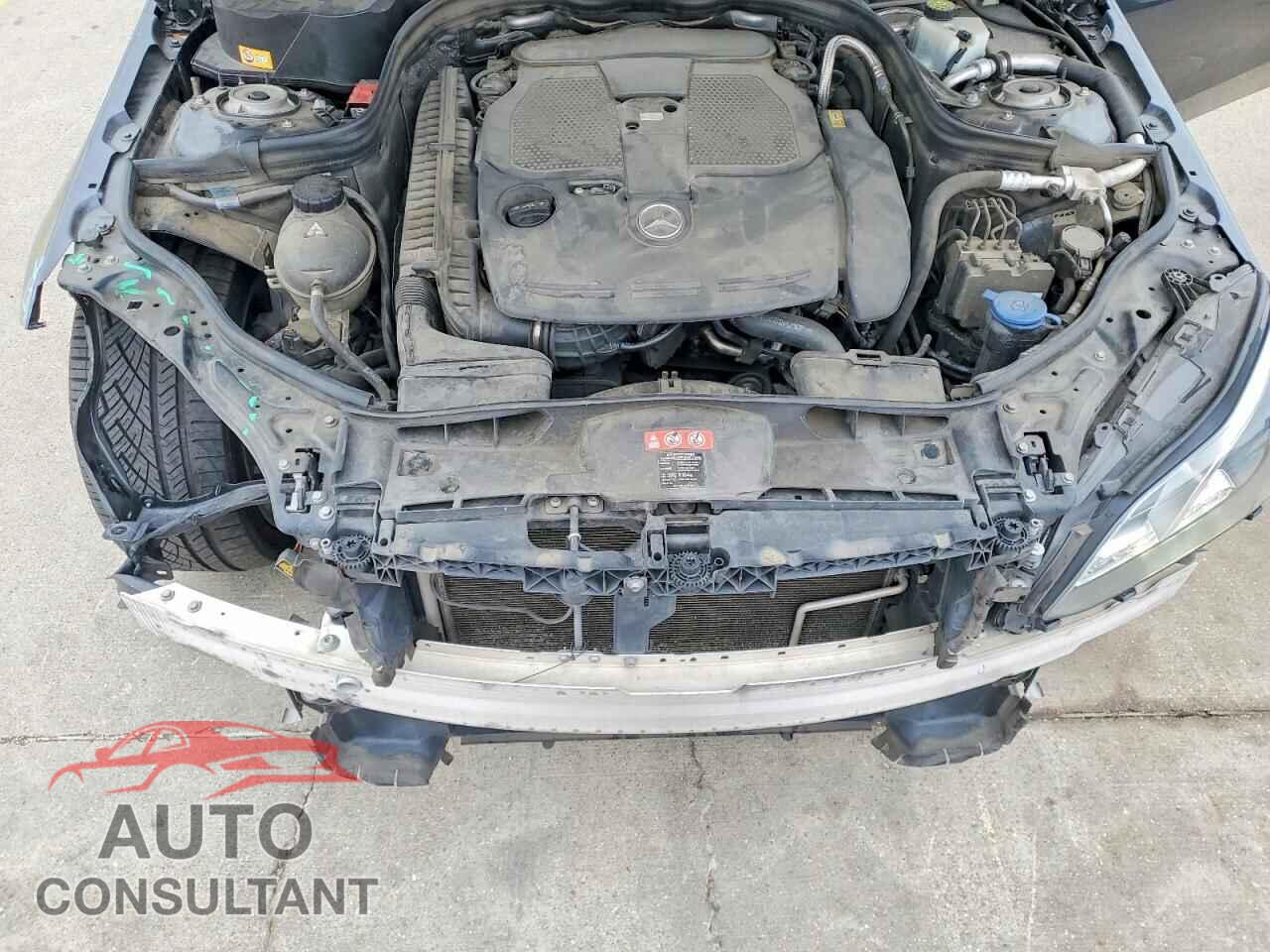 MERCEDES-BENZ E-CLASS 2014 - WDDHF5KB4EA802216